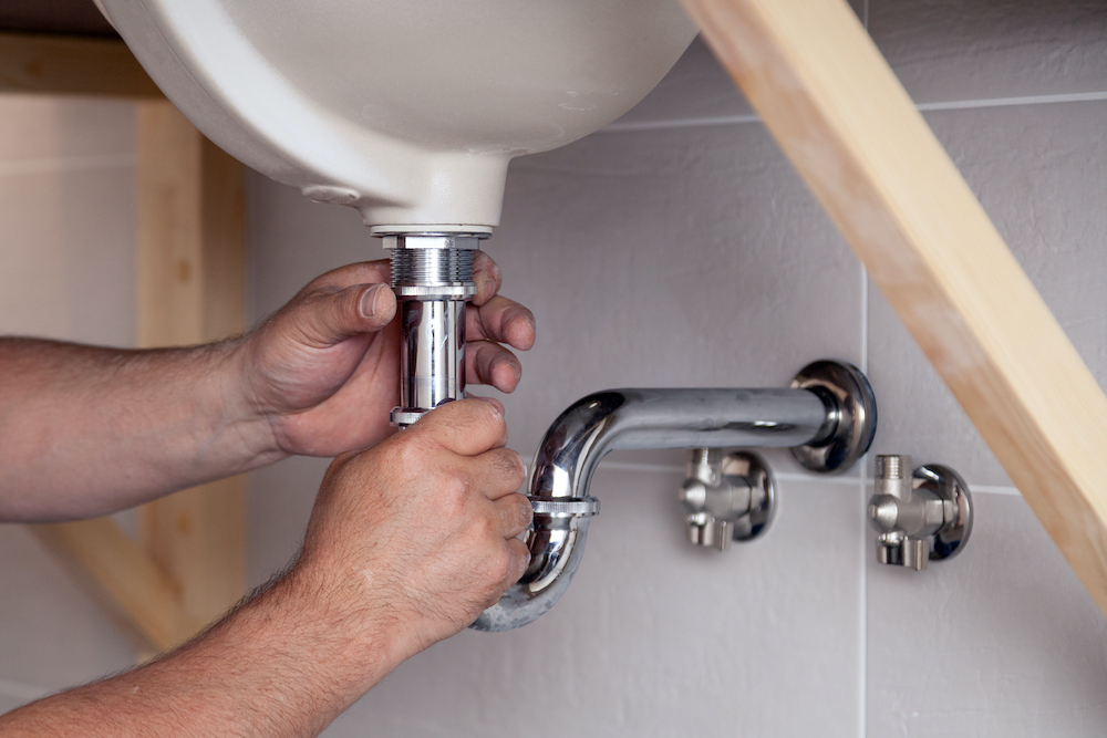 Pests in the Plumbing: 3 Real-World Scenarios Flippers Need to Watch For