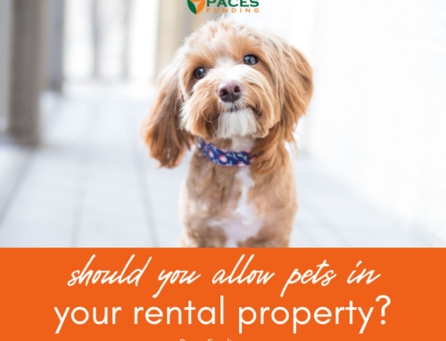 Should You Allow Pets in Your Rental Property?