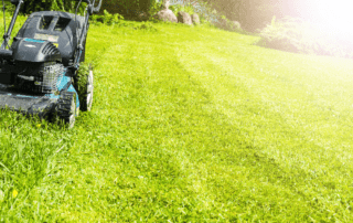Tips on How to Care for Your New Sod Lawn
