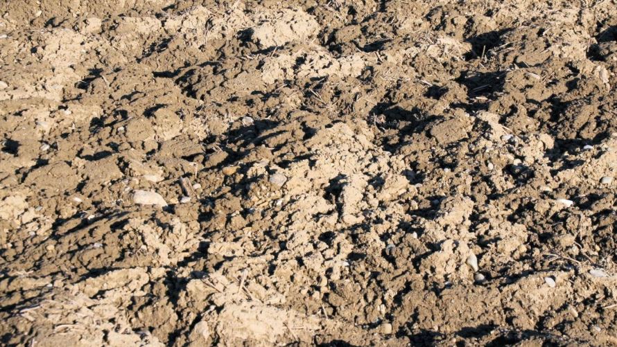 How Much Is A Yard Of Topsoil And What Is The Cost?