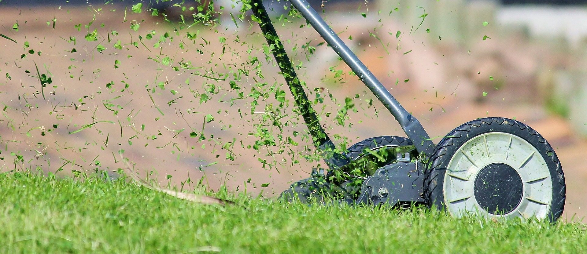 Who’s Responsible for Duplex Lawn Maintenance?